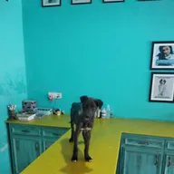 Furry Tales Veterinary Clinic photo