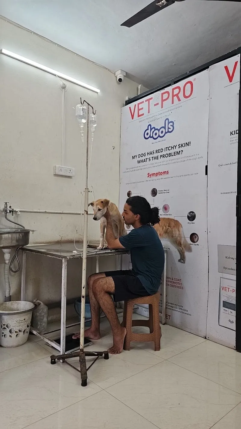 G.R.B pet clinic photo