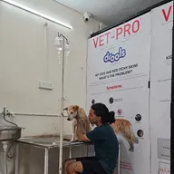 G.R.B pet clinic photo