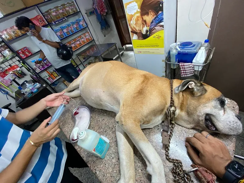 Gayatri Pet Clinic photo