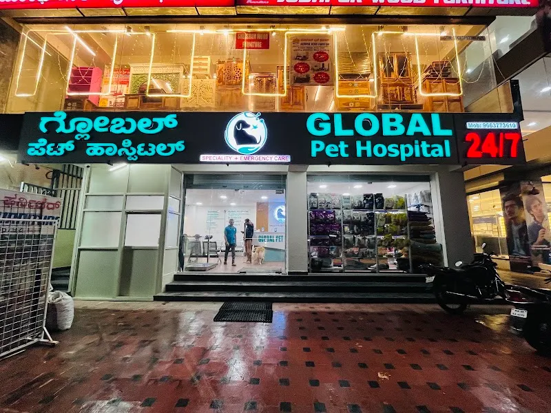 Global Pet Hospital photo