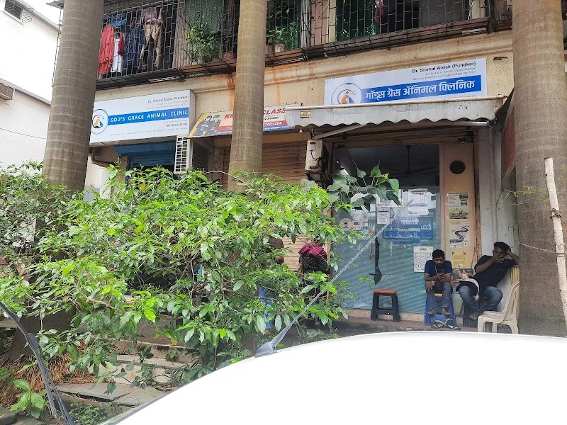 God’s Grace Pet Animal Clinic & Surgery Centre photo