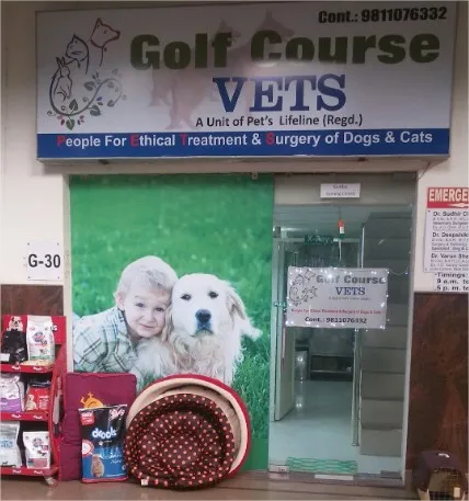 Golf Course Vets photo