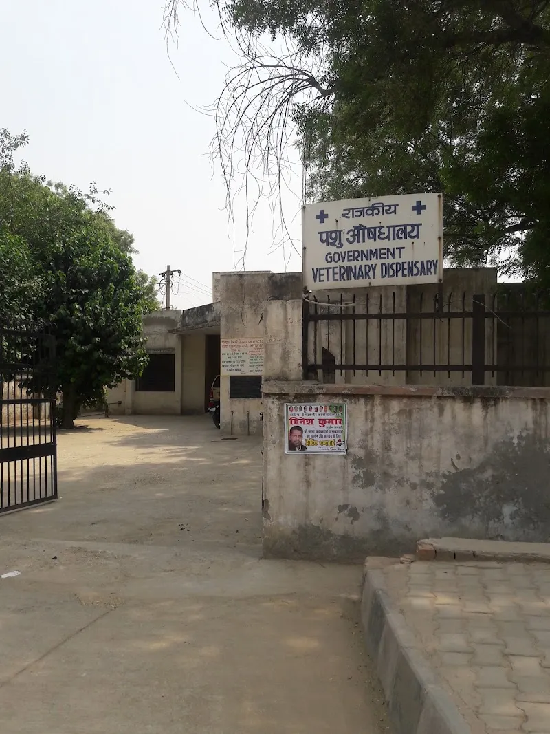 Gov. Veterinary Dispensary photo