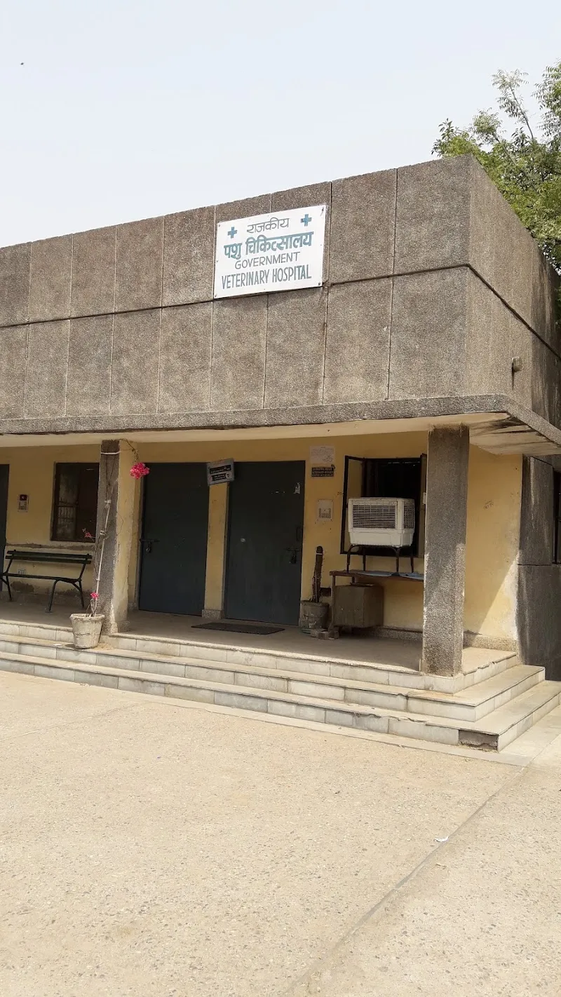 Government veterinary Hospital photo