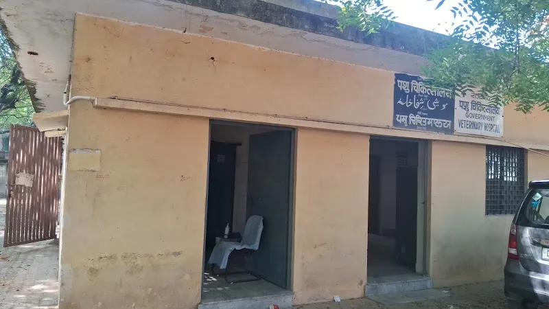 Government veterinary hospital photo