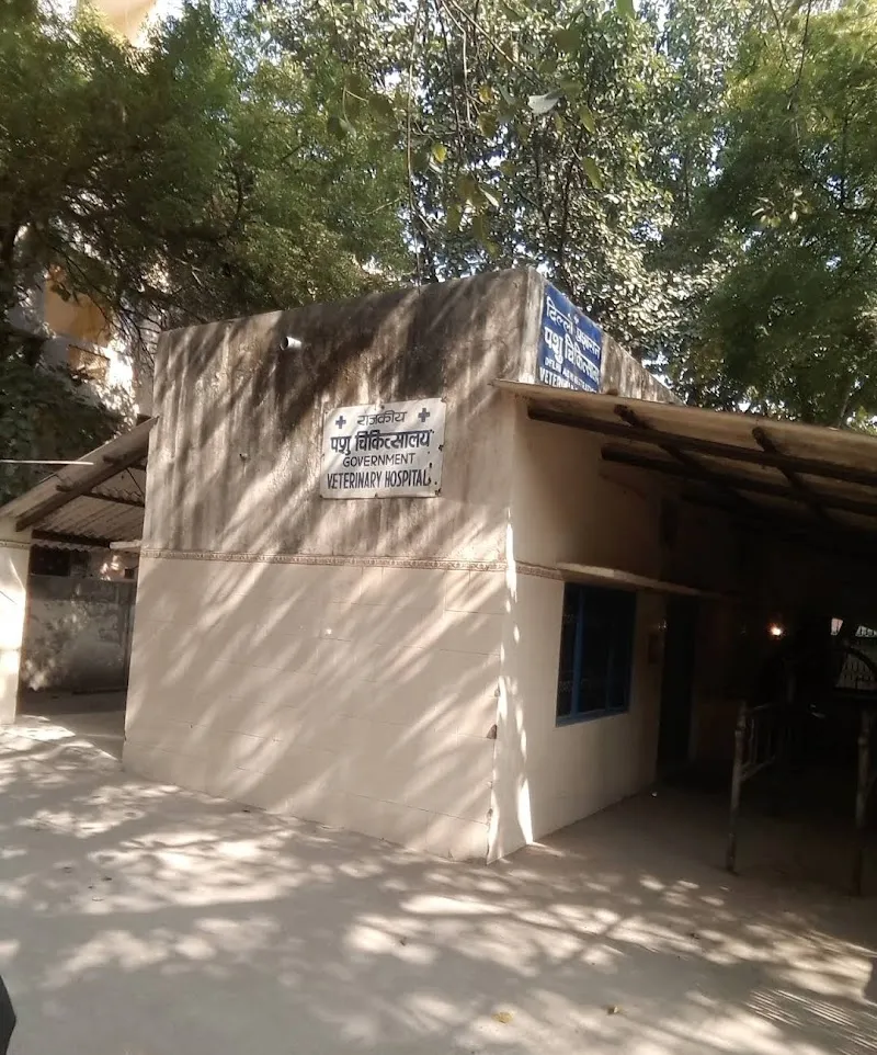 Government VETERINARY PET Hospital photo