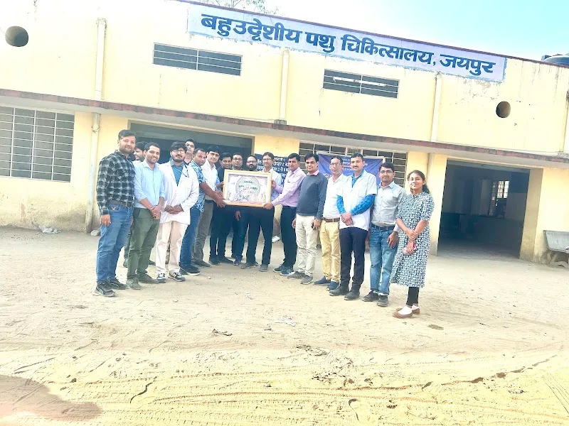 Government Veterinary Polyclinic Hospital photo