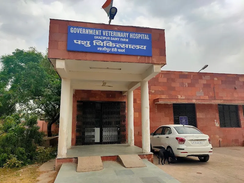 Government Veterinary Polyclinic photo