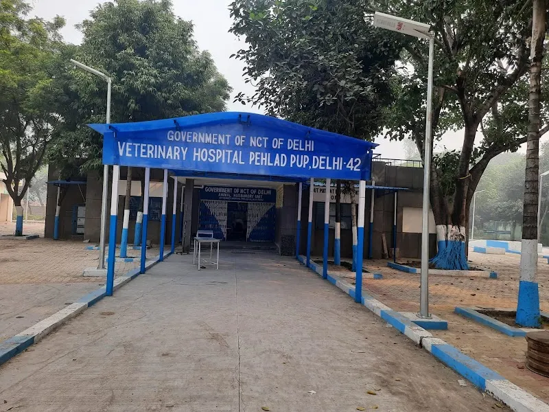 Govt Animal Hospital, Dispensary photo