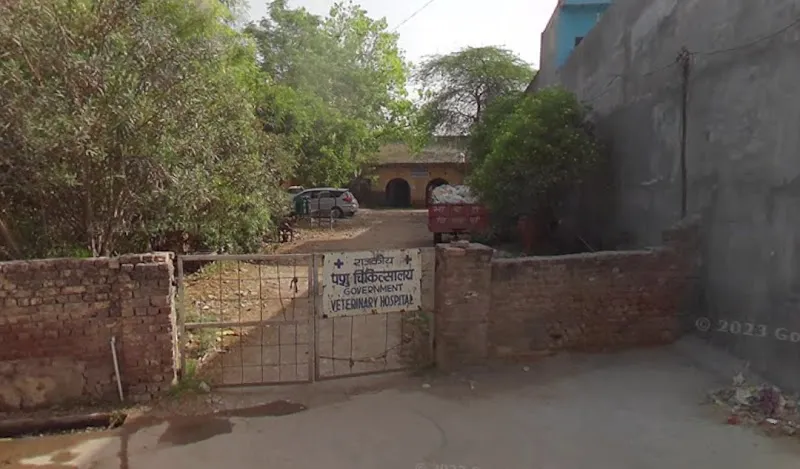 Govt Veterinary Hospital | सरकारी पशु चिकित्सा अस्पताल photo