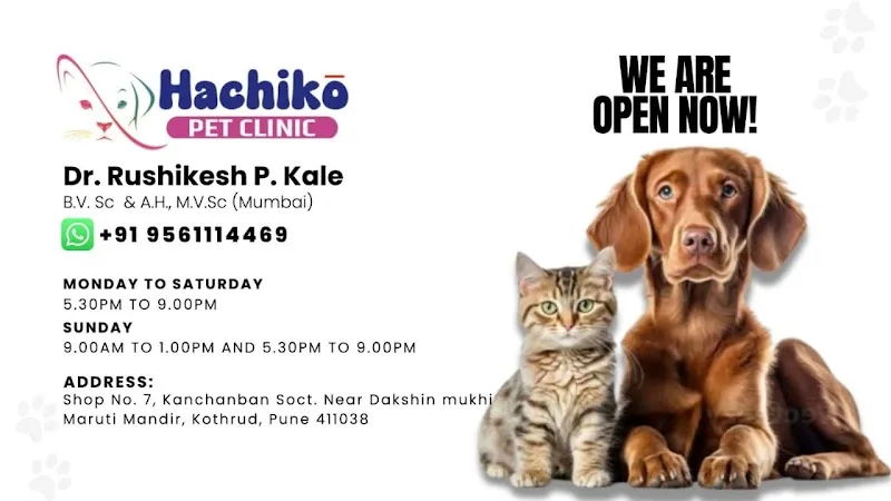 Hachiko Pet Clinic photo