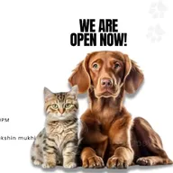 Hachiko Pet Clinic photo