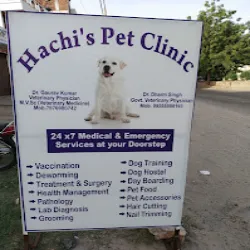 Hachi’s Pet Clinic photo
