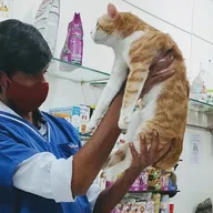 Harinika Veterinary Clinic photo