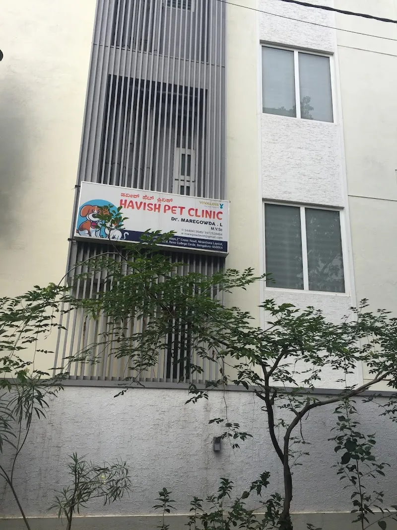 HAVISH PET CLINIC photo