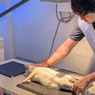 Healing paws animal clinic and surgical centre photo