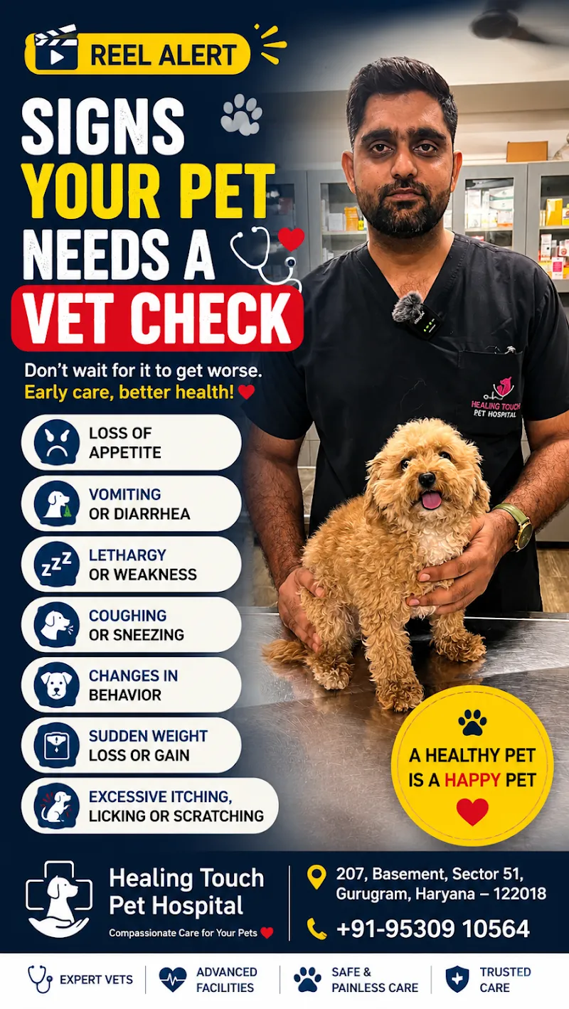 Healing touch pet hospital photo