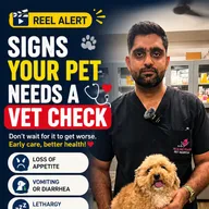 Healing touch pet hospital photo