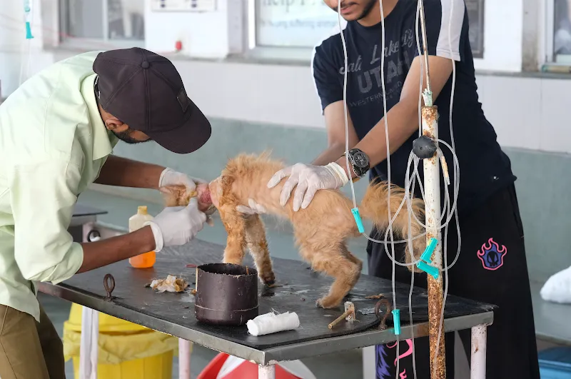 Help In Suffering photo