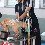 Help In Suffering photo