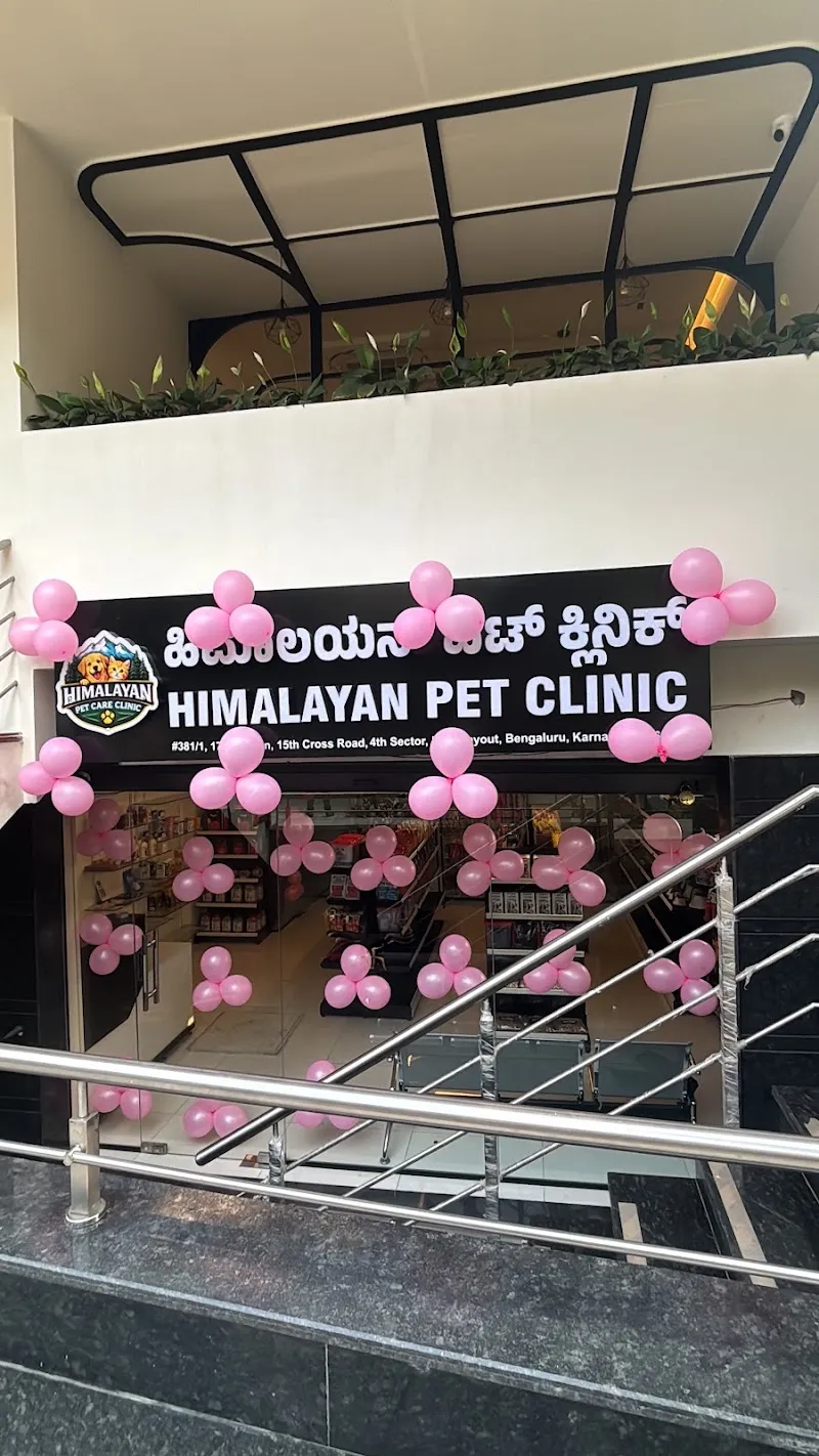 Himalayan Pet Clinic HSR Layout photo