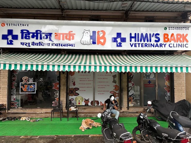 Himi’s bark veterinary clinic photo