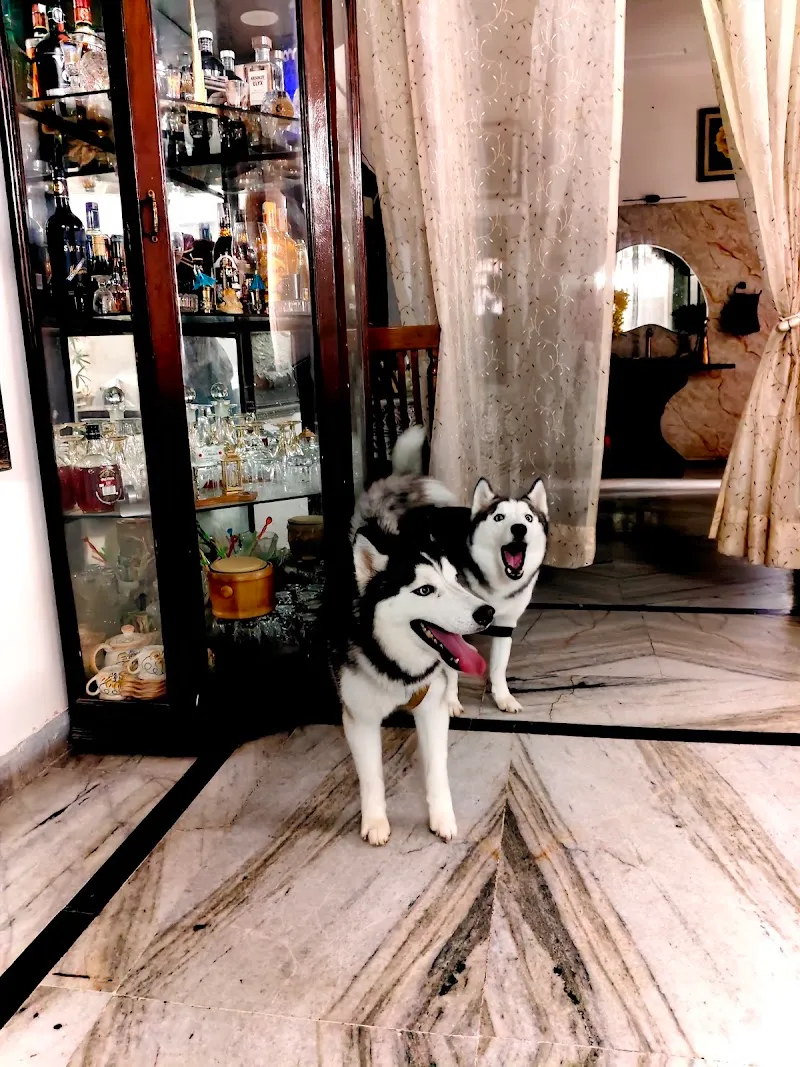 home vet care & Grooming Centre photo