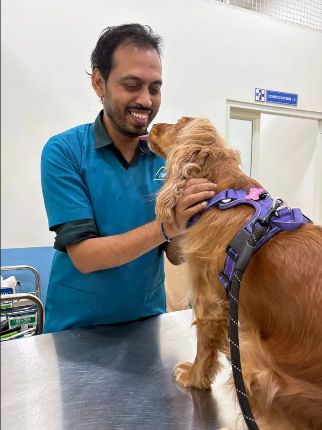 HOPE Veterinary Clinic photo