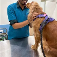 HOPE Veterinary Clinic photo