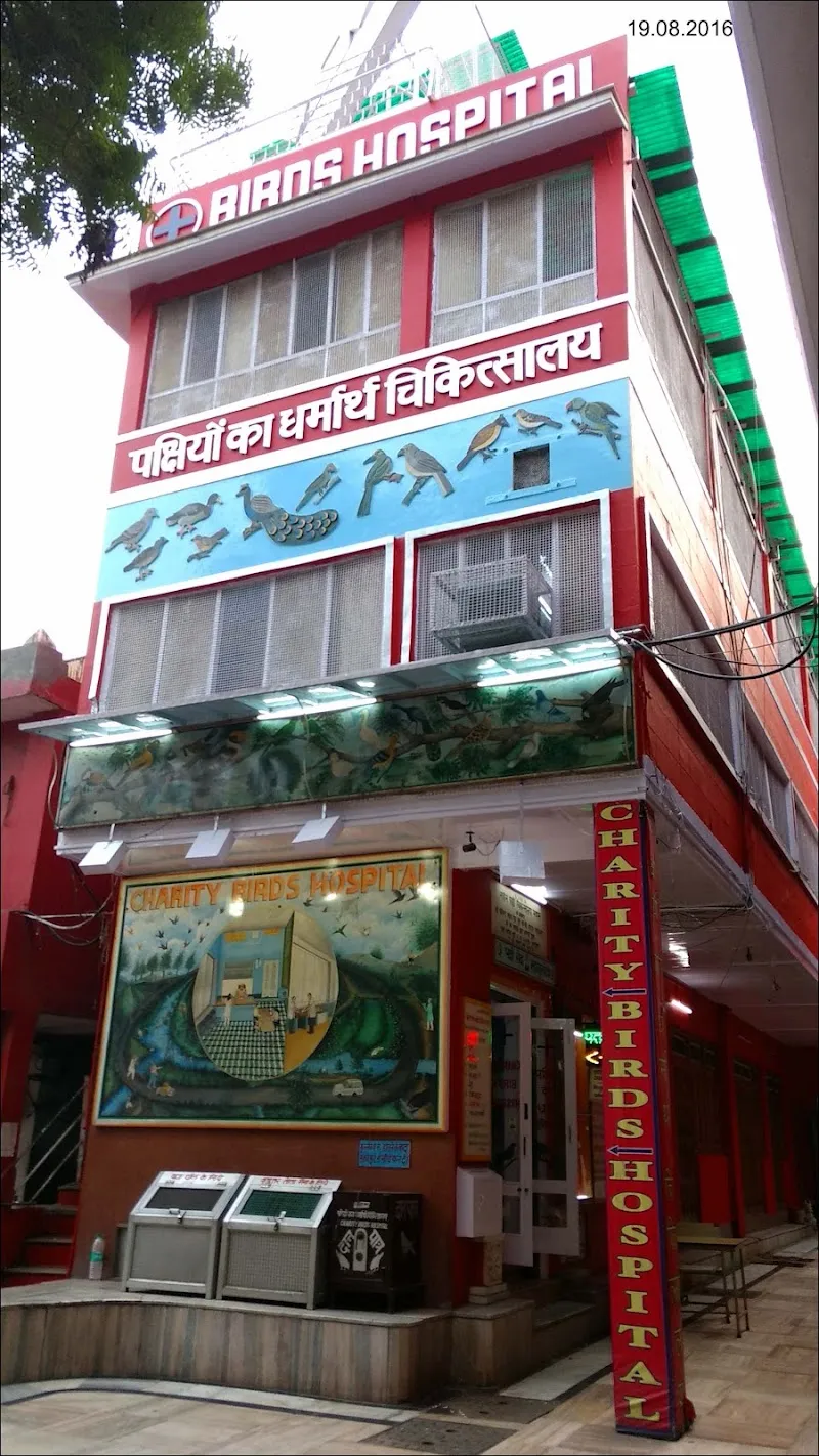 Jain Bird Hospital photo