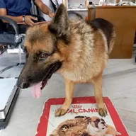 Jain’s Pet Clinic photo