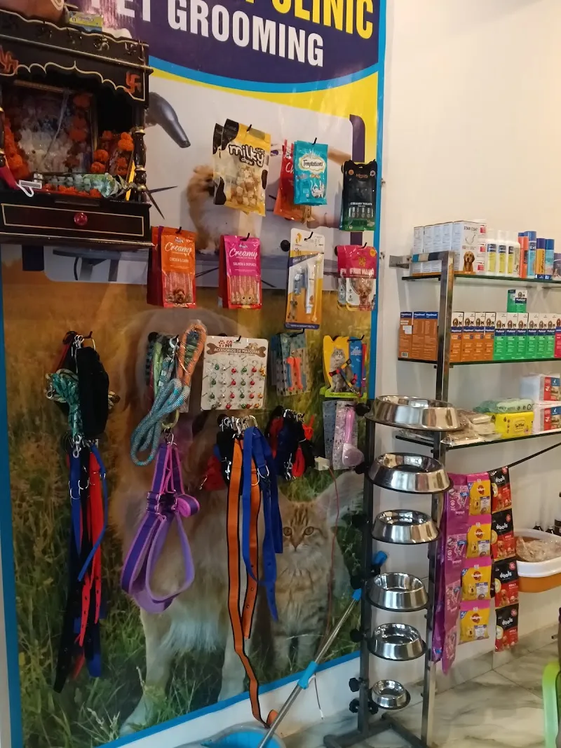 Jaipur pet clinic photo