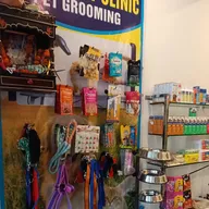 Jaipur pet clinic photo