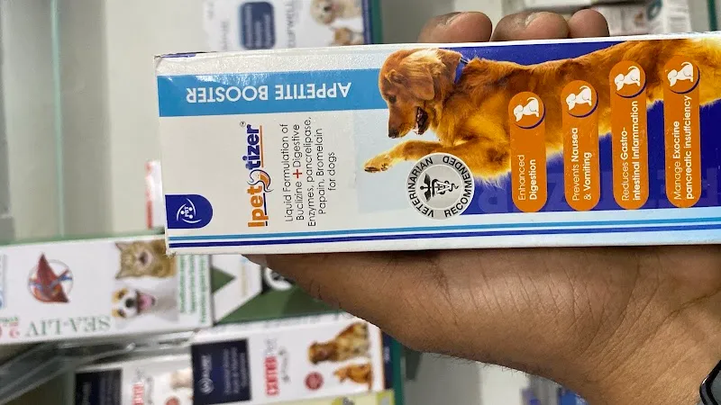 Jaipur pet clinic photo