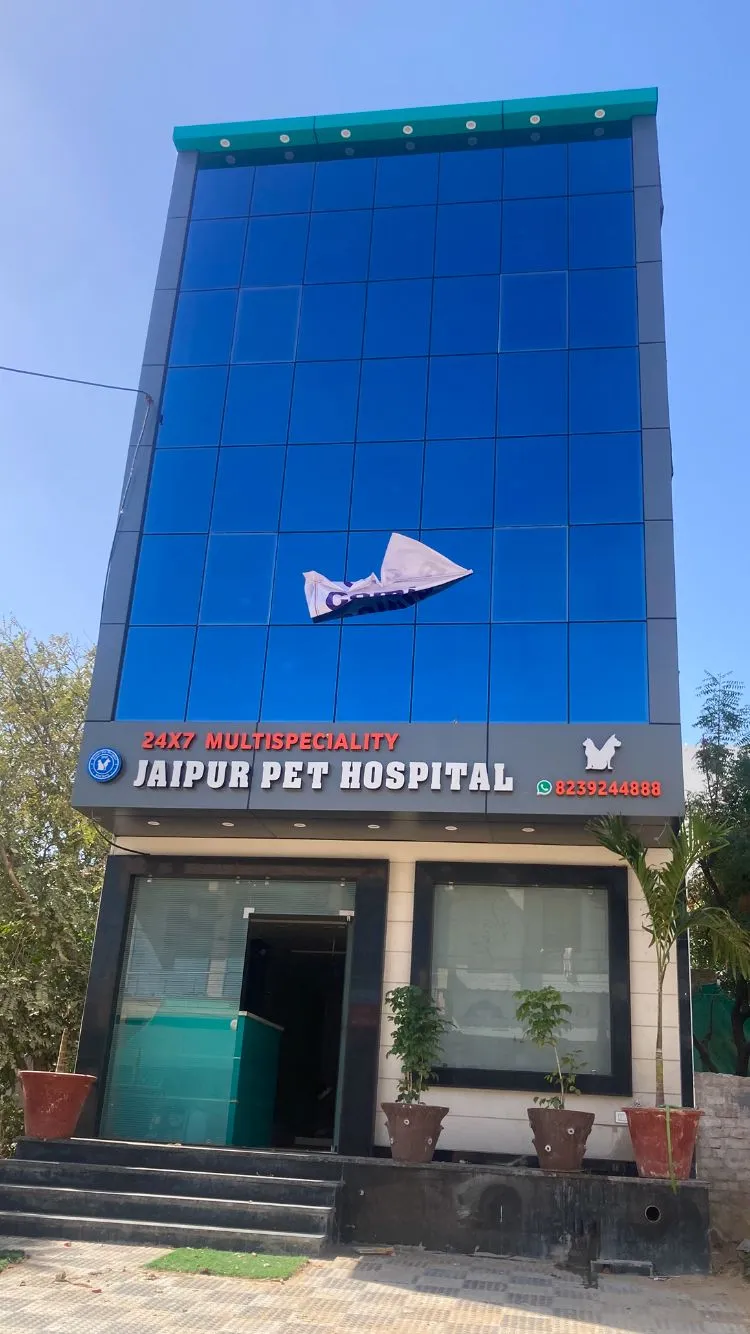 Jaipur Pet Hospital photo
