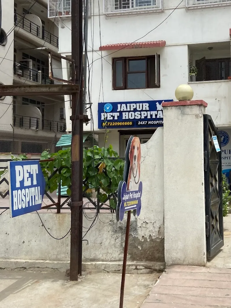 Jaipur Pet Hospital photo