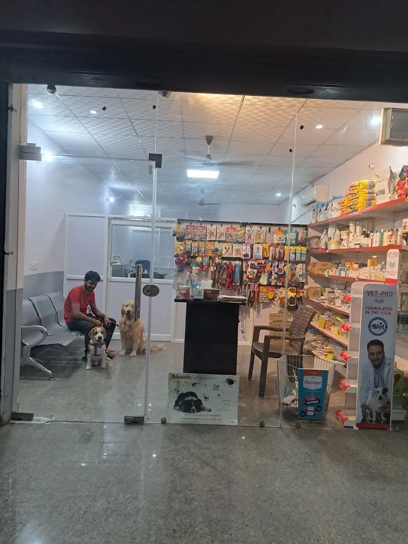 JP Pet Clinic photo