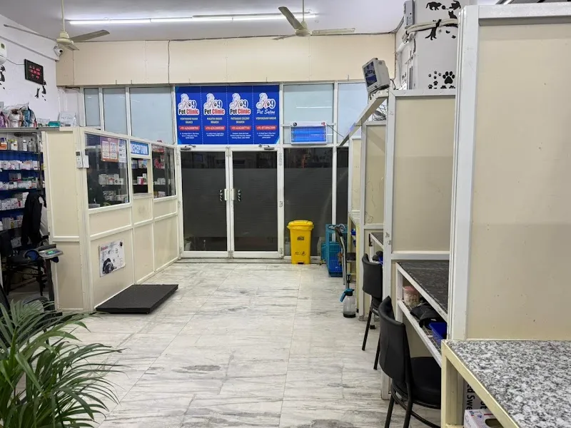 K9 Pet Clinic photo