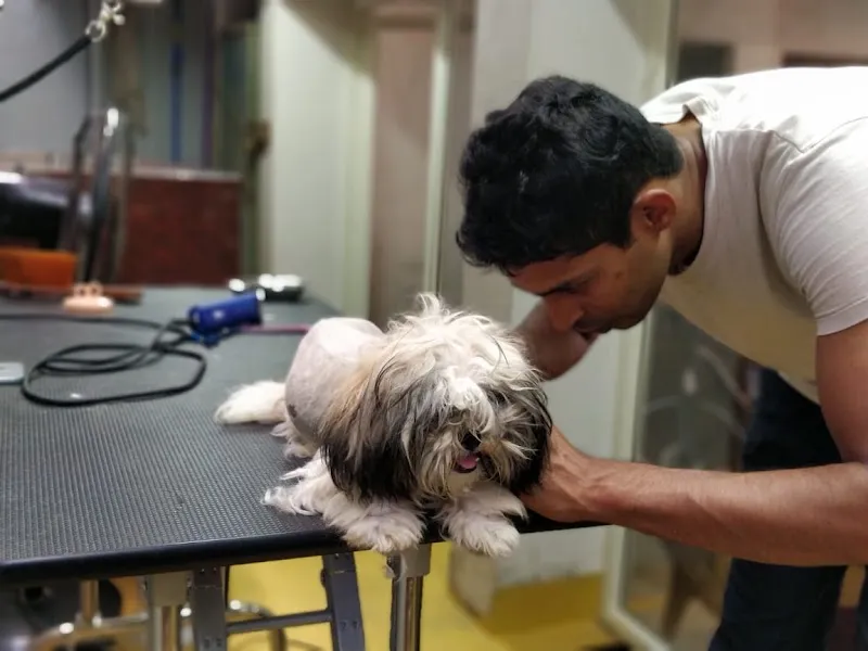 K9 Vet Clinic and Grooming (Dr.KV. Venugopal) photo