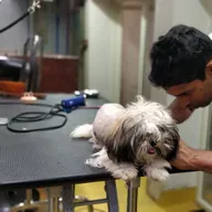 K9 Vet Clinic and Grooming (Dr.KV. Venugopal) photo
