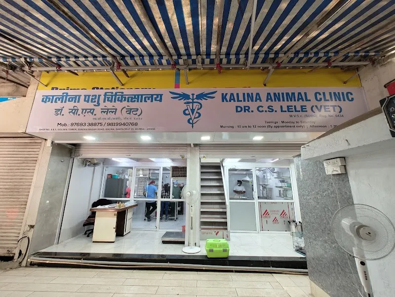 Kalina Animal Clinic photo