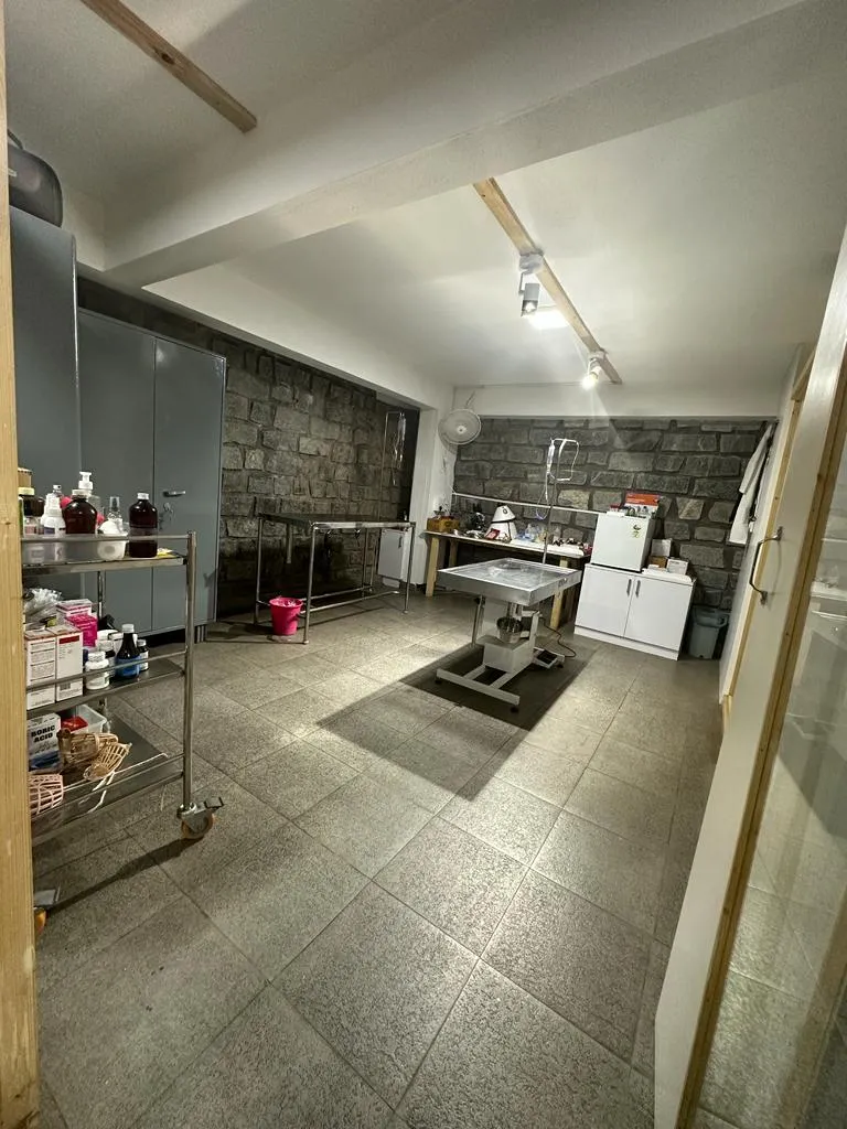 Khushi pet clinic and grooming centre photo