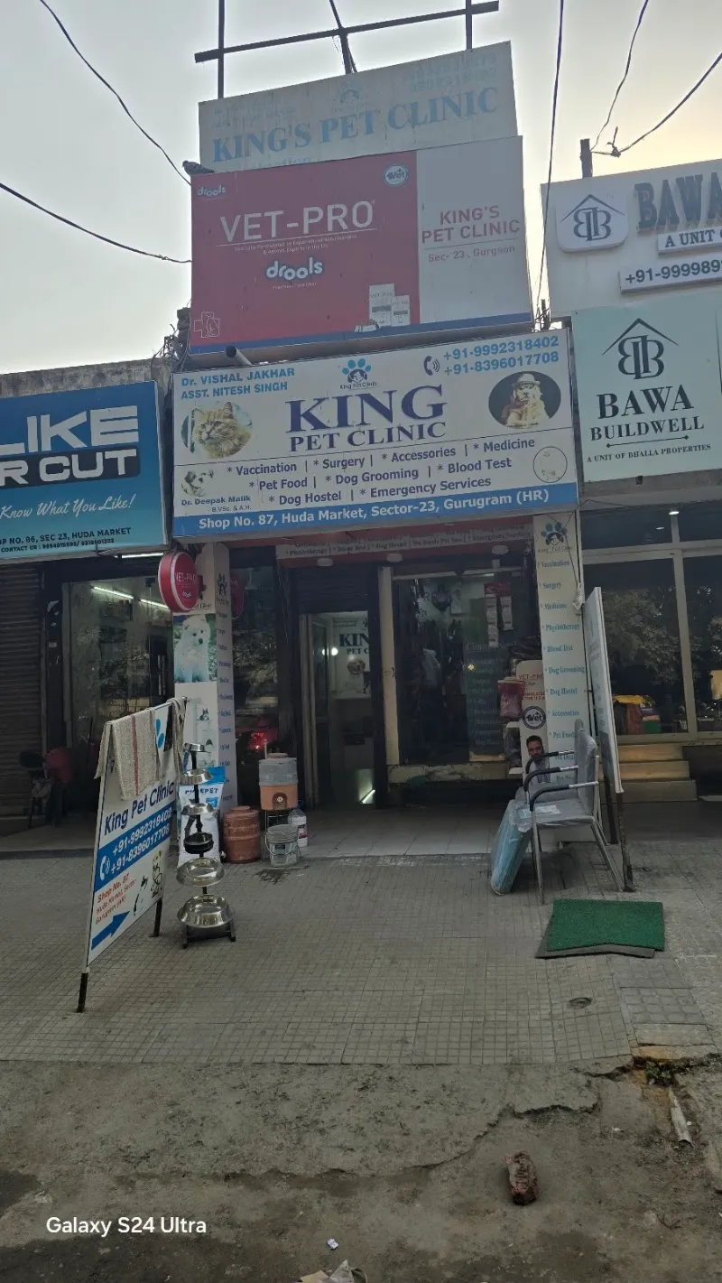 King Pet Clinic photo