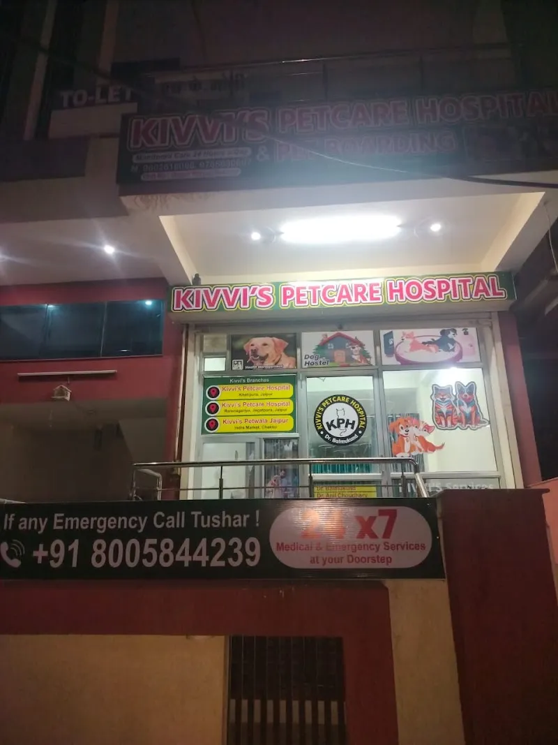 Kivvi’s Petcare Hospital – Dog Clinic and Grooming Studio in Jagatpura | Vaccination & Day Boarding | Home Service Available photo