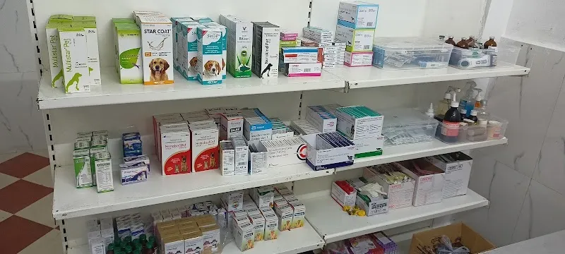 KPC | Veterinarian Home Visit : Vaccination, Treatment and Grooming Services photo