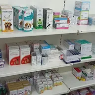 KPC | Veterinarian Home Visit : Vaccination, Treatment and Grooming Services photo