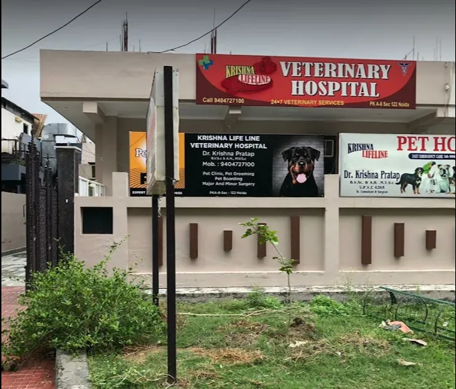 Krishna Lifeline Veterinary Hospital photo