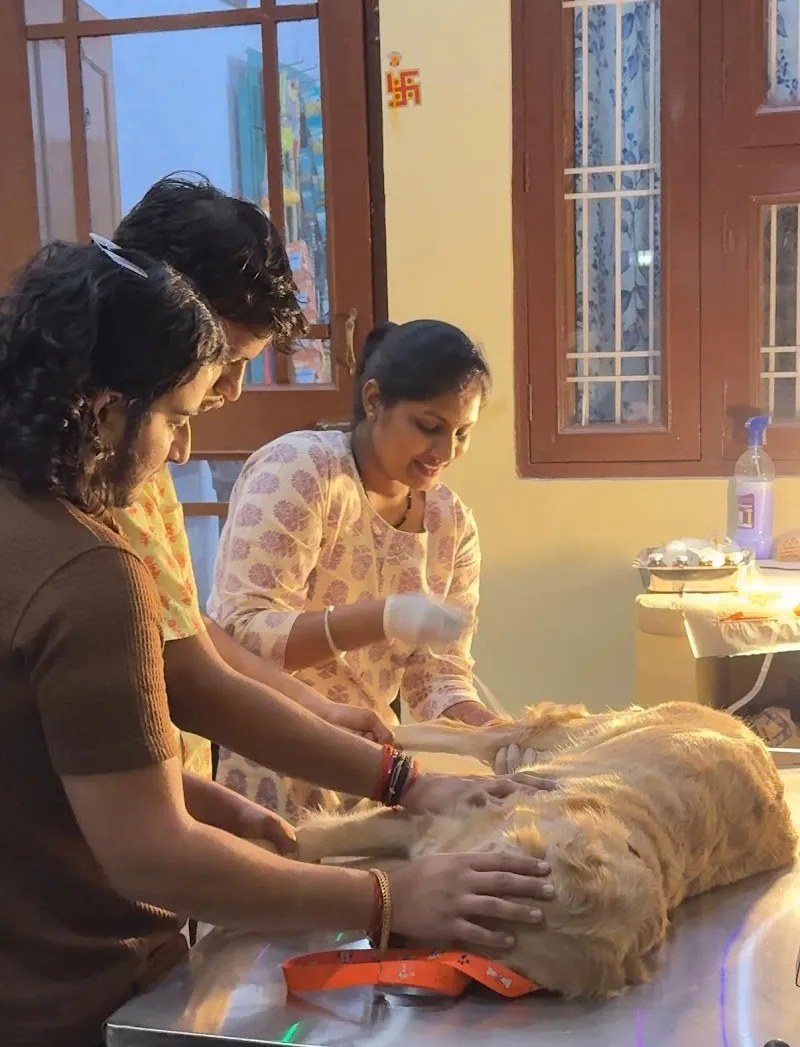 Krishna pet clinic – Pet Hospital in jaipur photo