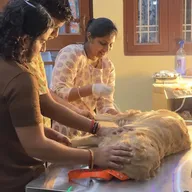 Krishna pet clinic – Pet Hospital in jaipur photo